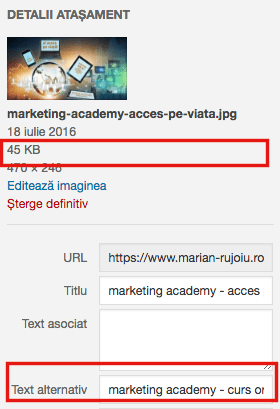 optimizare imagini si alt text
