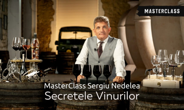 Sergiu Nedelea Curs Vinuri Sergiu Nedelea