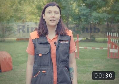 Final curs dresaj canin