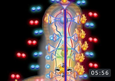 Cele 9 petale de lotus