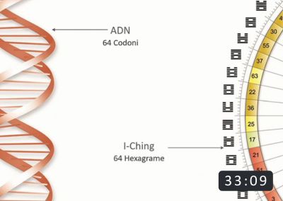 introducere curs human design cu ioan nistor