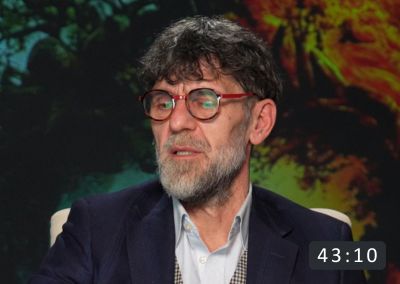 Stilul constitutional al celor 5 elemente