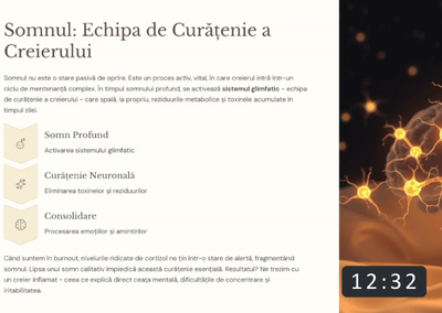 Învata care sunt cei trei piloni biologici ai energiei